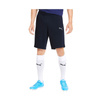 Spodenki Puma teamGoal 23 Casuals M (656581-06)