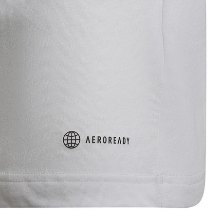 Koszulka adidas Entrada 22 Tee Jr (HC0447)