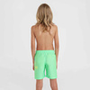 Szorty kąpielowe O'Neill Circle Surfer 14" Swim Shorts Jr (92800613206)