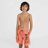 Szorty kąpielowe O'Neill Mix& Match Cali Floral 13'' Swim Shorts Jr (92800613859)