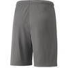 Spodenki Puma teamLIGA Shorts Jr 704931 13 (70493113)