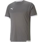 Koszulka Puma teamLIGA Jersey M 704917 13 (70491713)