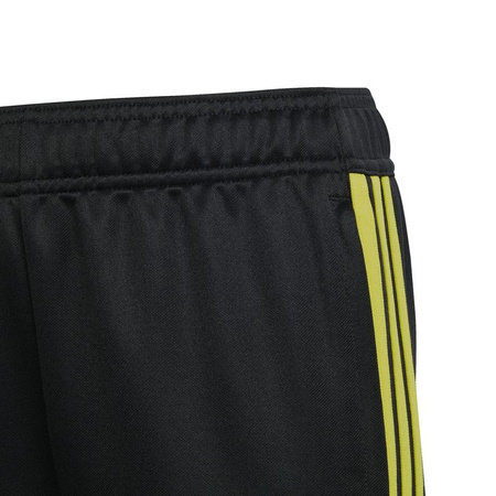 Spodnie adidas Tiro 23 Club Training Jr (IC1587)
