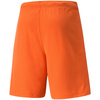 Spodenki Puma teamRise Short Prist M 704942 08 (70494208)