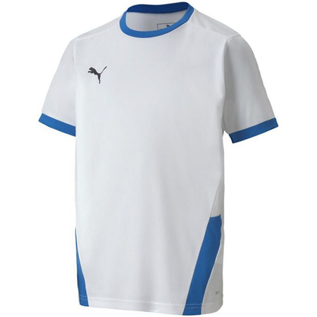 Koszulka Puma teamGOAL 23 Jersey Jr 704160 12 (70416012)