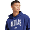 Bluza adidas Collegiate Hoodie M KC3874 (KC3874)