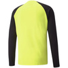 Bluza bramkarska Puma teamPACER GK LS M 704933 42 (70493342)