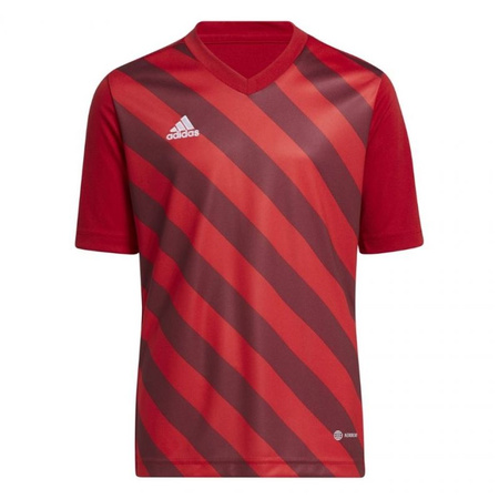 Koszulka adidas Entrada 22 Graphic Jersey Jr (H58983)