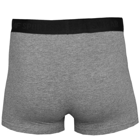 Bokserki 4F Men's Briefs M (H4L22-BIM350-90M)