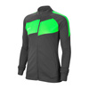 Bluza Nike Dry Academy Pro W (BV6932-061)