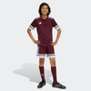 Koszulka dla dzieci adidas Squadra 25 bordowa (JC8667)