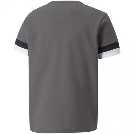 Koszulka Puma teamRise Jersey Jr 704938 13 (70493813)