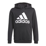 Bluza z kapturem adidas Essentials Jr GN4027
