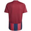 Koszulka adidas Striped 24 JSY M (IW2149)