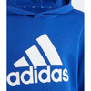 Bluza adidas Big Logo Essentials Hoodie Jr (IC6834)