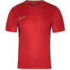 Koszulka Nike DF Academy 23 SS M DR1336 657 (DR1336657)