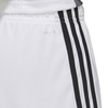 Spodenki adidas Tastigo 19 Shorts M (DP3247)