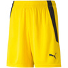 Spodenki Puma teamLIGA Shorts Jr 704931 07 (70493107)