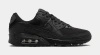 NIKE W AIR MAX 90 (DH8010-001)