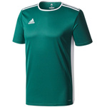Koszulka adidas Entrada 18 Jr CD8358 (CD8358/CE9563)