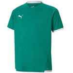 Koszulka Puma teamLIGA Jersey Jr 704925 05 (70492505)