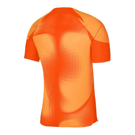 Koszulka bramkarska Nike Dri-FIT ADV Gardien 4 M (DH7760-819)