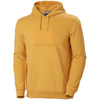 Bluza Helly Hansen Logo Hoodie M (33977-364)