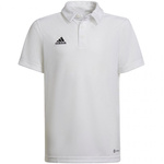 Koszulka adidas Entrada 22 Polo Jr (HC5059)