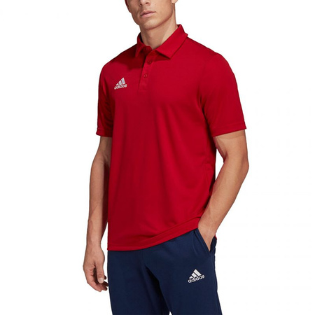 Koszulka adidas Entrada 22 Polo M (H57489)