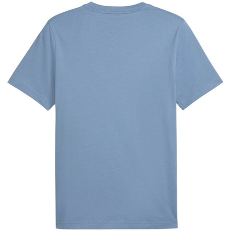 Koszulka Puma Ess 2 Color Small No. 1 Logo Tee M 684717 34 (1610597)