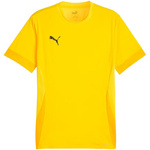 Koszulka Puma teamGoal Matchday Jersey M 705747 07 (70574707)