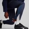 Spodnie Puma Team Goal Training M 658639 06 (65863906)