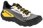 Buty Do Biegania męskie Salomon Genesis niskie przed kostkę Czarne (L47762800)
