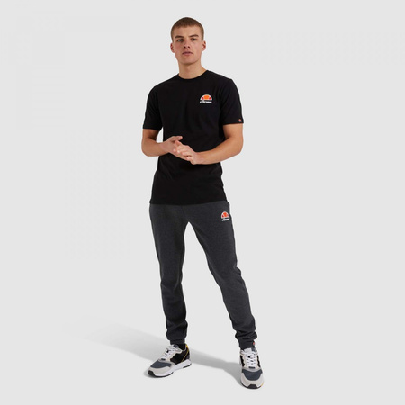 T-shirt na lato męski Ellesse Canaletto sportowa koszulka (SHS04548-001)