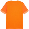 Koszulka Puma teamGoal Matchday Jersey M 705747 08 (70574708)