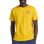 Koszulka New Balance LEFT CHEST SHOE SKETCH T-S Zółty (MT53962BQG)