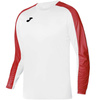 Koszulka Joma Academy III T-Shirt L/S (101658.206)