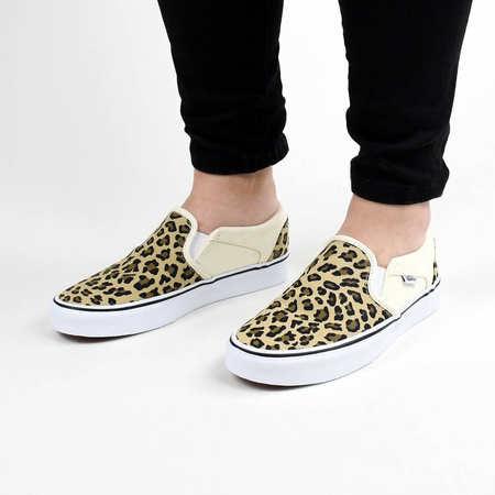 Buty Vans Asher (LEOPARD) ANTIQ VN000VOSBB8