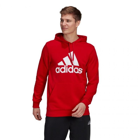 Bluza adidas Essentials Big Logo M (GV0249)