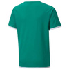 Koszulka Puma teamLIGA Jersey Jr 704925 05 (70492505)