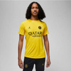 Koszulka Nike PSG DF Academy Pro SS Top PM 4TH M DR4906 720 (DR4906720)