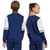 Bluza adidas Squadra 25 Sweat Crew Jr JD4814 (JD4814)