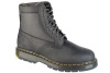 Glany Dr. Martens 1460 Trinity (DM31190001)
