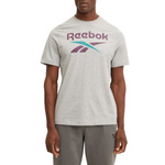 Koszulka męskie Reebok IDENTITY BIG LOGO TEE Szary (100206031)
