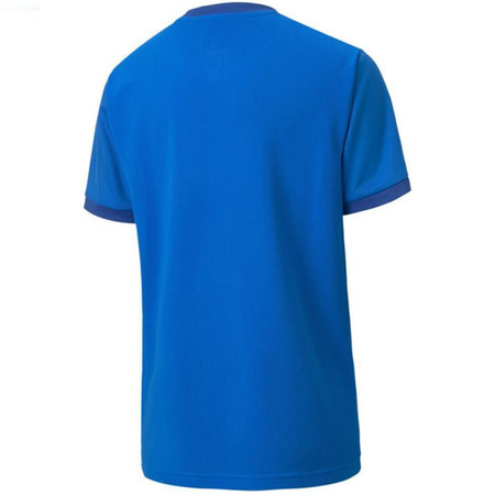 Koszulka Puma teamGOAL 23 Jersey Jr 704160 02 (70416002)