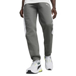 Spodnie męskie Puma EVOSTRIPE PANTS DK Szary (67899780)
