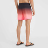 Szorty kąpielowe O'Neill Jack Cali Gradient 15'' Swim Shorts M (92800613579)