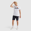 Koszulka męska Ellesse SL Prado T-Shirt White bawełniana biała (SHC07405-908)