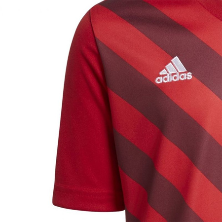 Koszulka adidas Entrada 22 Graphic Jersey Jr (H58983)